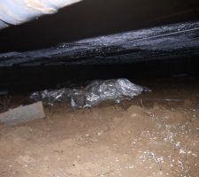 Fourreaux et quelques Déchets
Humidité...