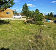 Préparation du terrain