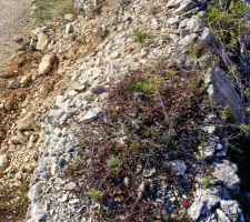 Etat du mur en pierre sèche.