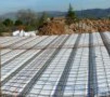 Les cerisiers en fleur!