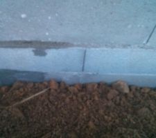 Vide sanitaire