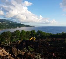 Vue du terrain... les arbres du dessous seront supprimés