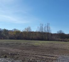 Terrain