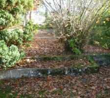 Vue jardin