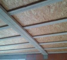 Plafond seacbois du rez de chaussée