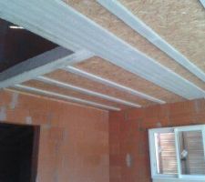 Plafond seacbois du rez de chaussée.