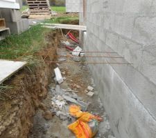 J'ai pris ce que j'avais sous la main, on voit l&agrave; encore l'&eacute;cart avec le trellis pos&eacute; sur le sol naturel et le mur.
