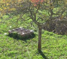 Carré potager tout propre pour l'année prochaine !!
