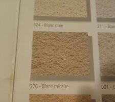 Teintes du crépi bi-colore de la maison.
Nous avons choisi d'associer la PIERRE GRISEE (code 279) et le BLANC GRANITE (370).