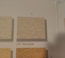 Teintes du crépi bi-colore de la maison.
Nous avons choisi d'associer la PIERRE GRISEE (code 279) et le BLANC GRANITE (370).