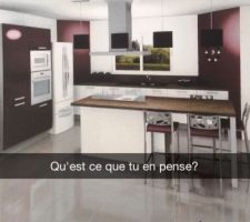 Notre cuisine acheté en solde a cuisinela a blois , gamme sortie d'usine et non en kit  .1500 euros d?Économie, elle nous sera livré au mois de mai, Electroménager inclus sauf le frigo. juste un mot : magnifique. merci charline