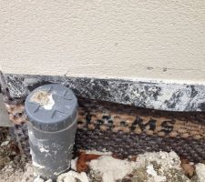 Fissures sur le Delta MS