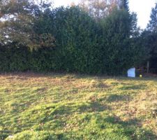 Quelques photos de notre terrain