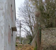 Charmilles du voisin dépassant de son mur enfin coupées !