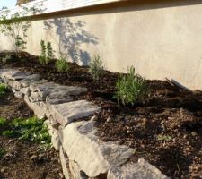 Les premières plantes trouvent leur place dans le nouveau massif...