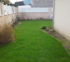 Pelouse plantée ! Massifs délimités