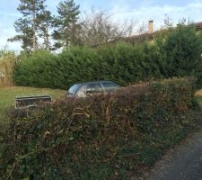 Avant le nettoyage :)