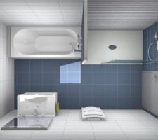 La salle de bain des enfants et des amis