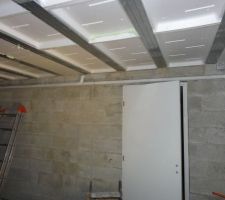 Aspirateur centralisé (réseau)