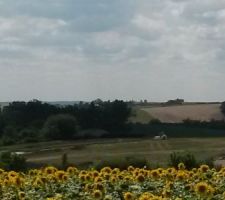 Les collines du lauragais.