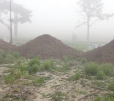 Nous avons fait revenir de la terre