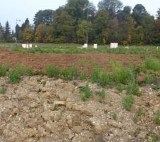 Arri&egrave;re de notre terrain