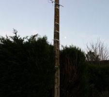 Poteau apr&egrave;s &eacute;lagage