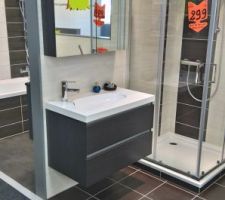 Meuble SDB parental