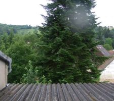 Terrasse du 1er étage avant travaux. la toiture terrasse en béton est tout simplement recouverte de plaques ondulées en fibrociment et n'est pas utilisable...