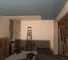 Salon plafond