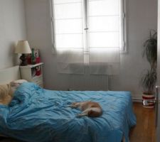 Futur bureau