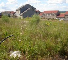 Voici notre terrain.