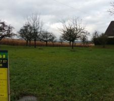 Terrain avant début des travaux