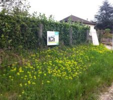 Les beaux jours arrivent et l'étape la plus longue est passée!! Le permis de construire est accordé et affiché.. plus que deux mois a attendre pour pouvoir démarrer les travaux (et oui encore c'est la loi !)..