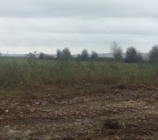 Voici quelques photos d'aujourd'hui