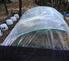 Potager 1 bâché