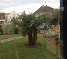 Aménagement du jardin: mise en place des rouleaux de gazon!