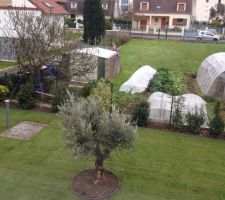 Aménagement du jardin: mise en place des rouleaux de gazon!