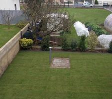 Aménagement du jardin: mise en place des rouleaux de gazon!