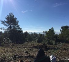 Le terrain apr&egrave;s d&eacute;broussaillage
