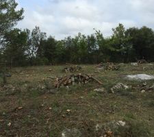 Le terrain apr&egrave;s d&eacute;broussaillage