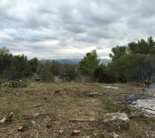 Le terrain après débroussaillage