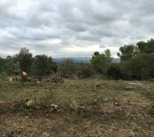Le terrain apr&egrave;s d&eacute;broussaillage