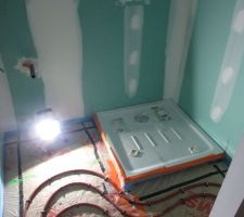 Salle de douche RDC