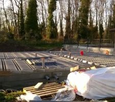 Apr&egrave;s 18 jours d'attente, le vide sanitaire prend forme