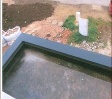 Piscine gratuite pour moustiques!