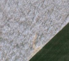 Tache blanche dans l'enduit