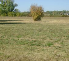 Voici une photo du terrain