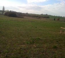 Implantation des chaises