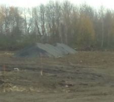 Ils ont mis des tas de goudron